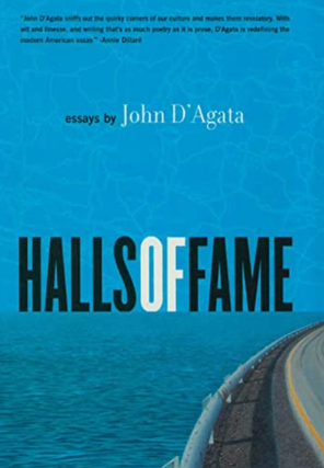 Item #220270 Halls of Fame: Essays. John D'Agata