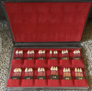 Vintage Trubyte Dental Teeth Bioblend Bioform Dental Shade Sample Book