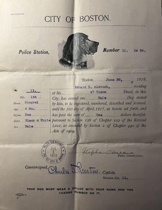 Item #300598 An Early 20th Century Dog License issued by the City of Boston on June 30, 1916....