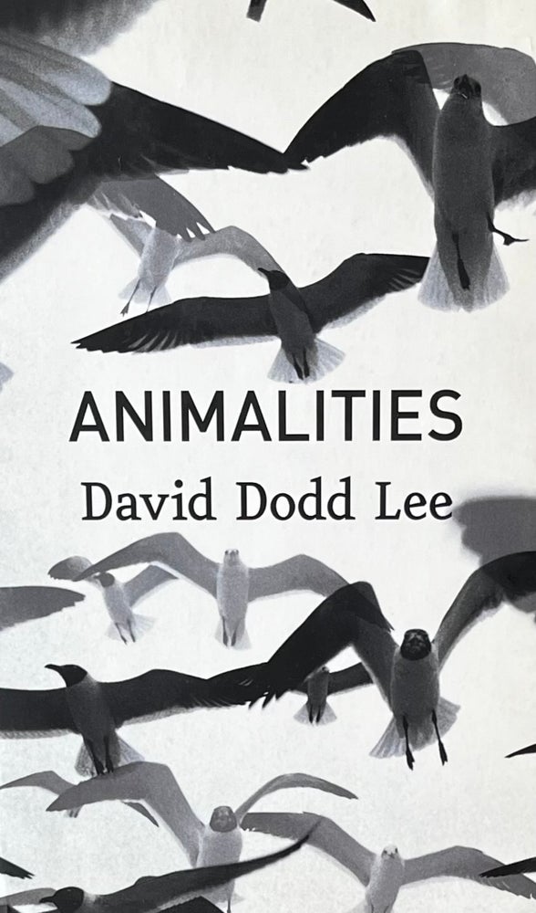 Item #310273 Animalities. David Dodd Lee.