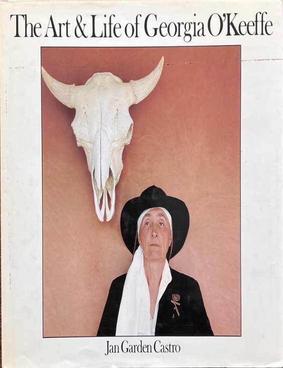 Item #400043 The Art & Life of Georgia O'Keeffe. Jan Garden Castro.