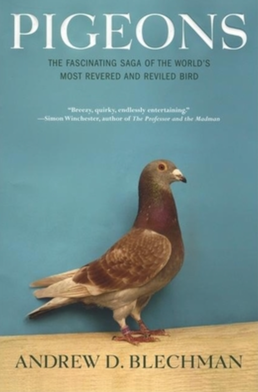 Item #400277 Pigeons: The Fascinating Saga of the World's Most Revered And Reviled Bird. Andrew D. Blechman.