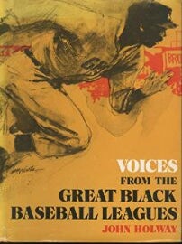 Item #4262417 Voices from the Great Black Baseball Leagues. John Holway