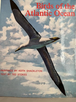 Item #700113 Birds of the Atlantic Ocean. Ted Stokes, Keith Shackleton, Text, Paintings