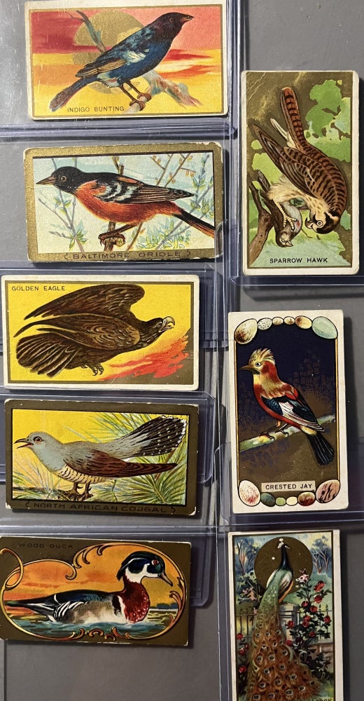 Item #70406 A Grouping of Eight [8] Early 20th Century Mecca Bird Series White Border 1 - 100 Tobacco Cards