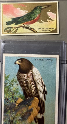 A Grouping of Six [6] Early 20th Century Bird Series 1 - 100 Tobacco Cards