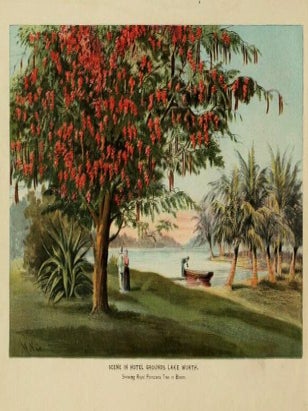 Florida: Beauties of the East Coast