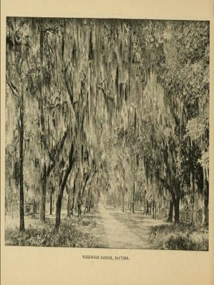 Florida: Beauties of the East Coast