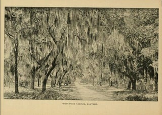 Florida: Beauties of the East Coast