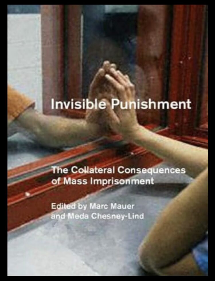 Item #919202612 Invisible Punishment: The Collateral Consequences of Mass Imprisonment. Meda Chesney-Lind, Marc Mauer.