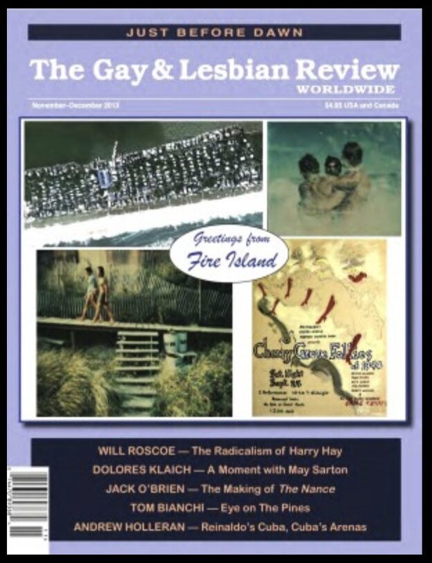 Item #926202508 The Gay and Lesbian Review [formerly the Harvard Gay and Lesbian Review]; November-December 2013. Richard Schneider Jr., in Chief.